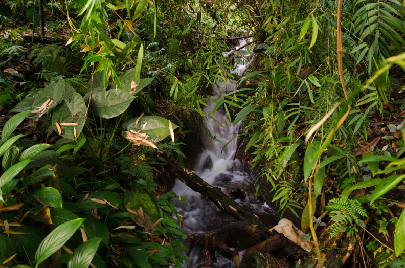 eden_project-13.jpg