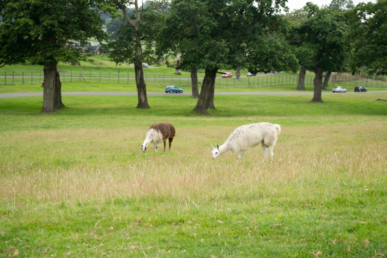 photo-5.jpg